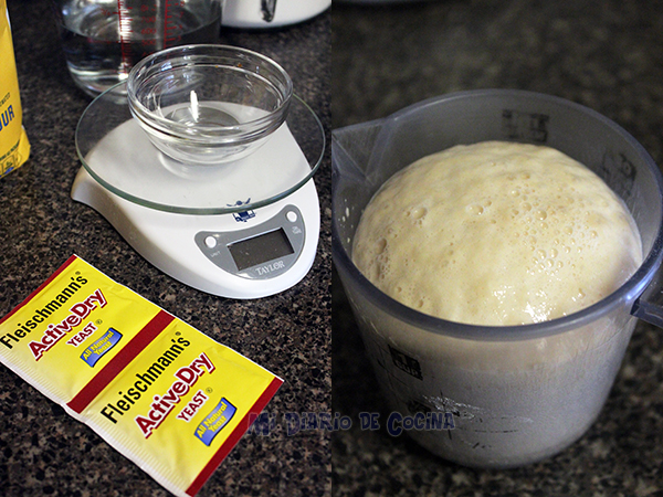 Marraqueta or whipped bread - Yeast