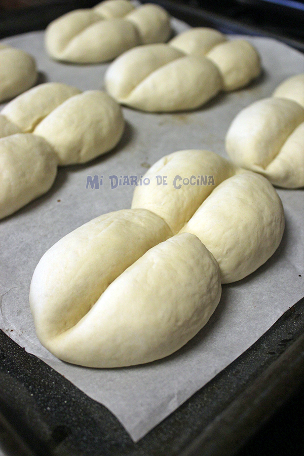 Marraqueta or whipped bread - Dough