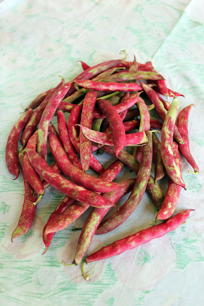 Porotos Granados (cranberry beans stew - Chilean recipe)