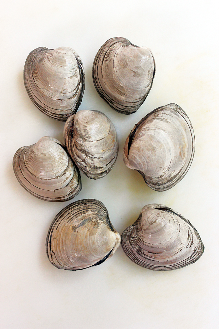 Parmesan clams with El Yucateco sauce - Clams