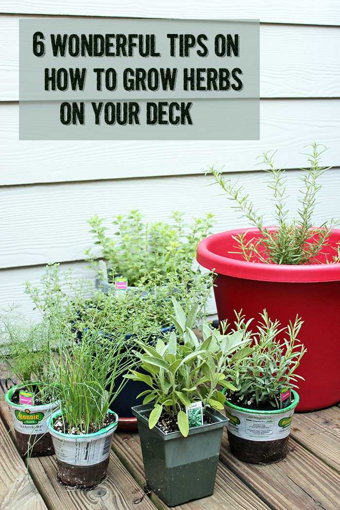 6 Wonderful Tips On How To Grow Herbs On Your Deck