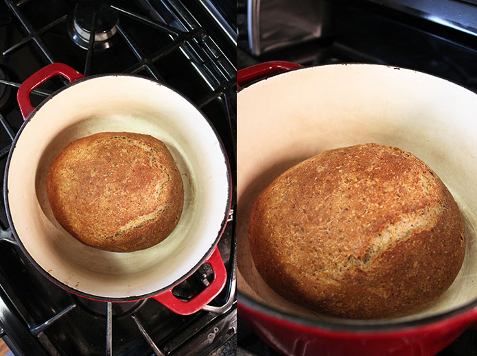 Whole wheat bread - In pan
