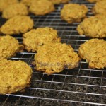 Galletas de avena y zanahoria