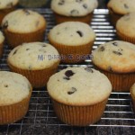 Muffins con chips de chocolate