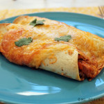 Fish enchiladas with red sauce