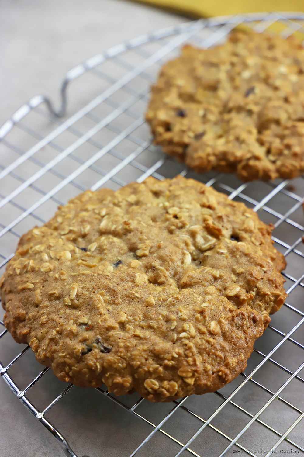 Galletas de avena y manzana – Mi Diario de Cocina